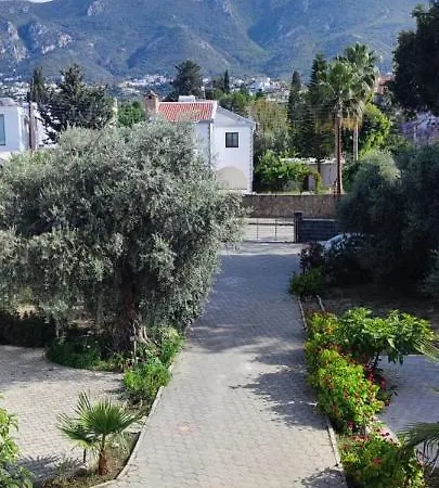 Βίλα Suluca Homes *