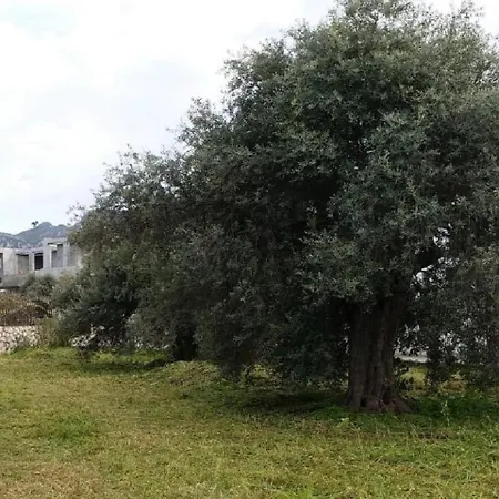 Вилла Suluca Homes Кирения