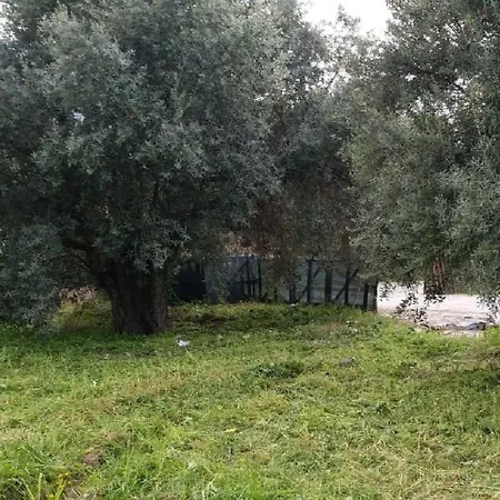 Вилла Suluca Homes *