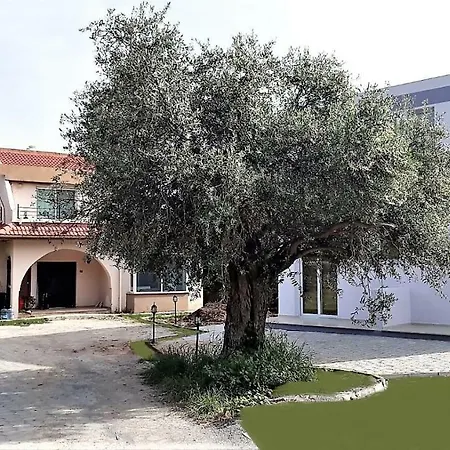 Suluca Homes Villa