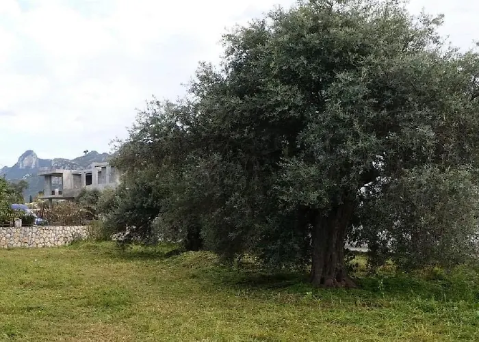 Villa Suluca Homes Kyrenia (Northern Cyprus)