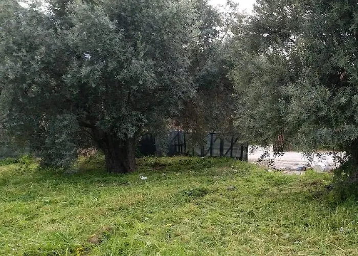 Villa Suluca Homes *