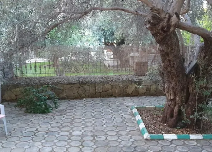 Suluca Homes Villa *