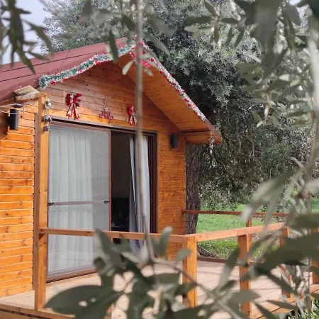 Suluca Homes 빌라 키레니아