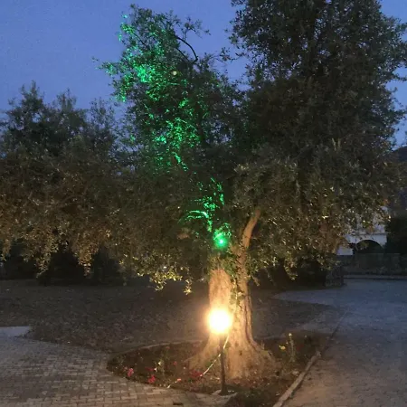 빌라 Suluca Homes 키레니아